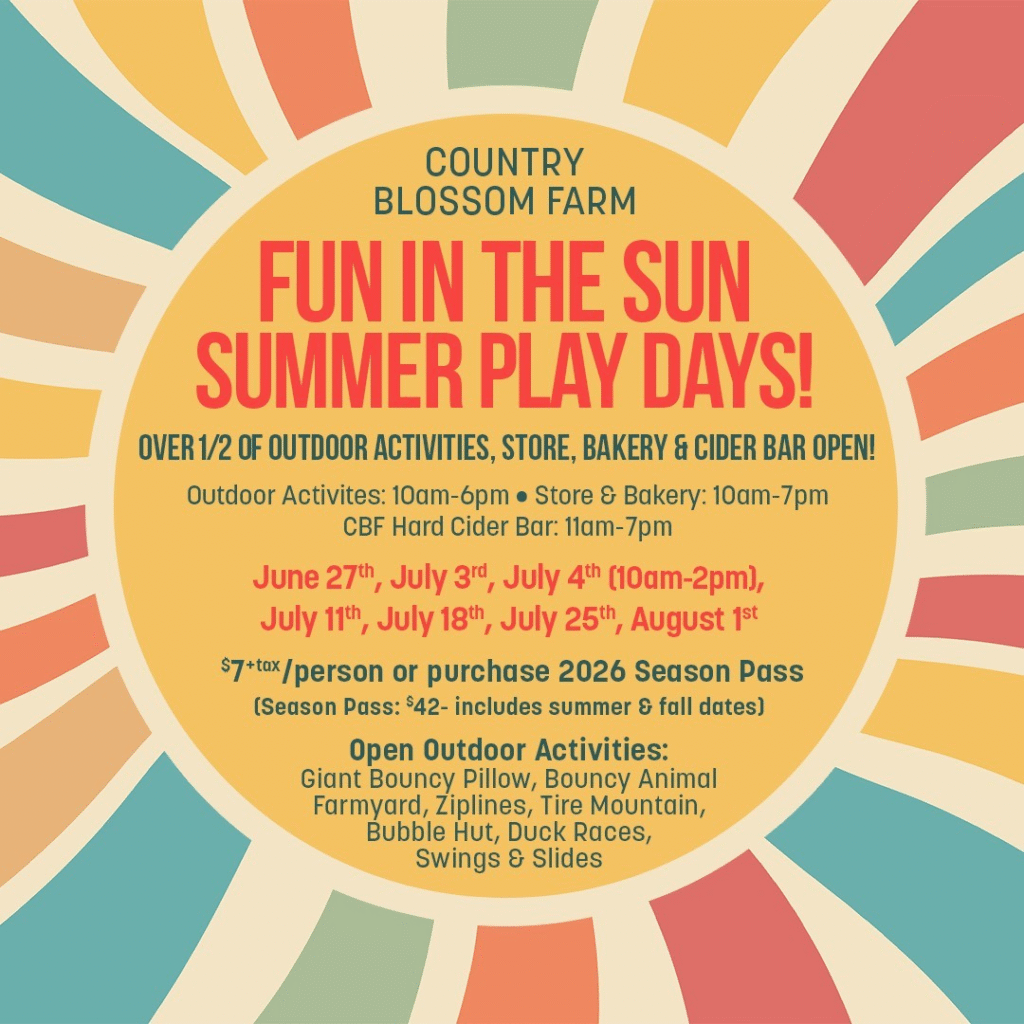 Summer Play Day