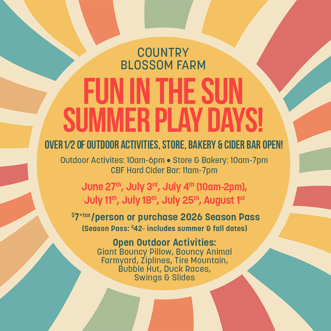 Summer Play Day at Country Blossom Farm